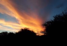 A 10 años de la Laudato sí