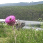 Reflexión ante la situación creada por la deuda externa