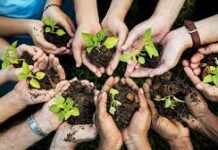 Pacto Educativo para el Cuidado de la Casa Común