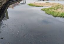 El que siembra vientos cosecha tempestades