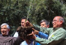 La Rioja | Cuidar la Casa Común desde la raíz