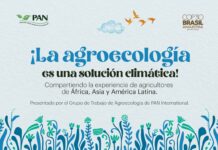 La Agroecología como solución climática