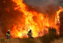 Nuestra Patagonia arde