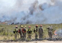 Incendios en Chubut | Amenaza ala Casa Común