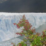 Ley de Glaciares | Carta abierta a los legisladores