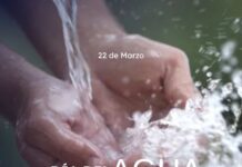 22 de marzo | Día mundial del Agua