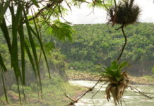 Ecología Integral se manifiesta a los Diputados que debaten sobre los Recursos Naturales