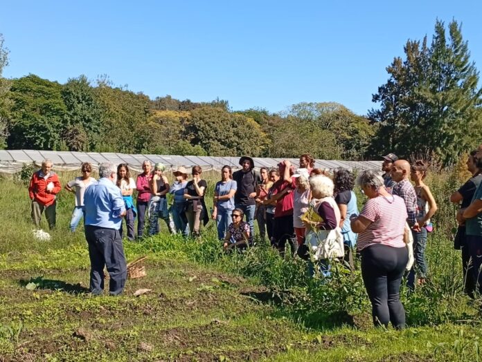 WhatsApp Image 2026-04-15 at 19.14.08