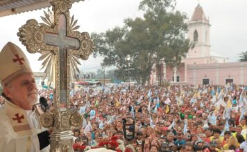 Contra la lógica de la Ideología y el Descarte | Cardenal Bokalic