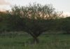 Querida Tierra: te cuido porque te amo, no porque estás por reventar
