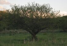 Querida Tierra: te cuido porque te amo, no porque estás por reventar
