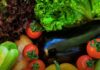 Experiencias de productores agroecológicos