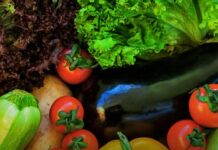 Experiencias de productores agroecológicos