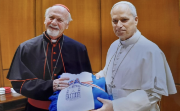 El Cardenal Bokalic y el Consistorio | Documento Final